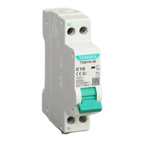 Mini Circuit Breaker DP C10